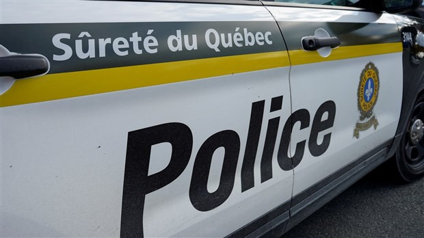 Deux chiens de race volés à Saint-Martin 