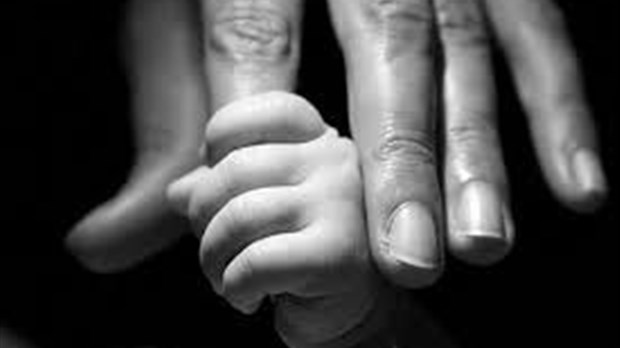 Cinq rencontres pour aider les parents qui vivent un deuil périnatal