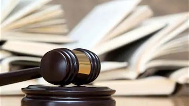 Coupable d'actes de bestialité, sa sentence sera prononcée le 20 décembre