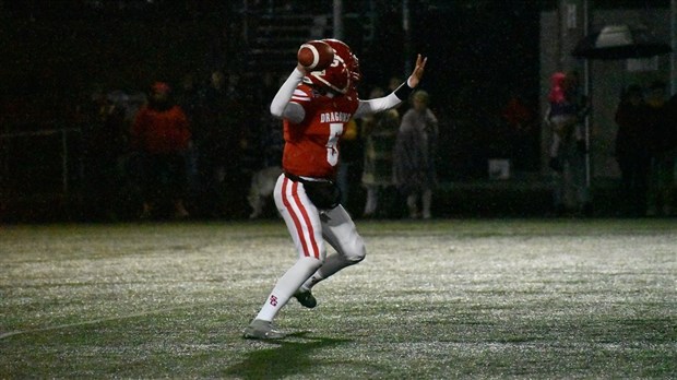 Les Dragons juvéniles récoltent les honneurs au gala de la ligue D2