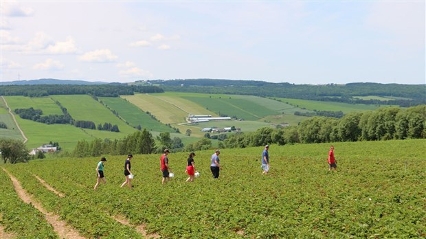 Des assouplissements pour les activités agrotouristiques en Nouvelle-Beauce