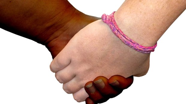 De la crise à la prise en compte des inégalités: bâtir un filet social adéquat et solidaire 