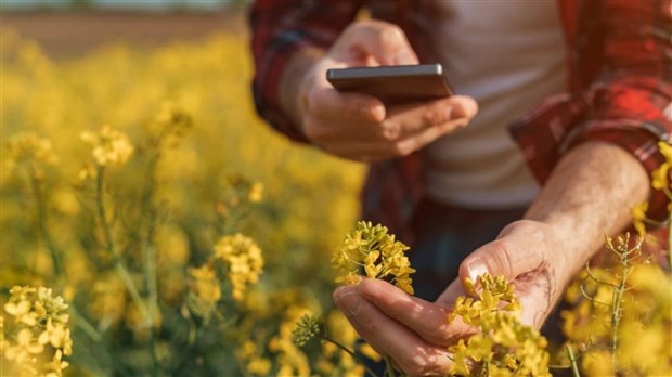 Agriculteurs recherchés pour une étude sur la santé mentale positive