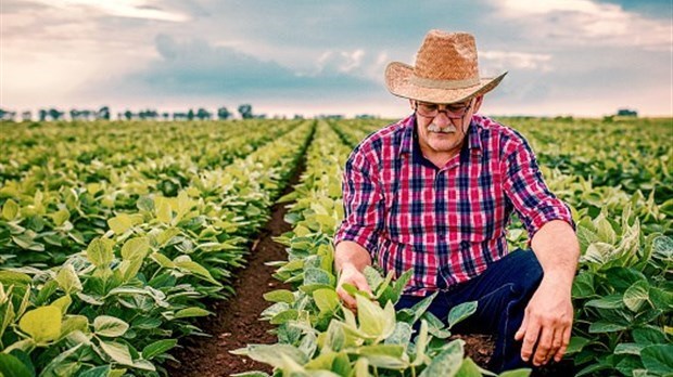 Le Colloque AGRIcarrières en mode virtuel