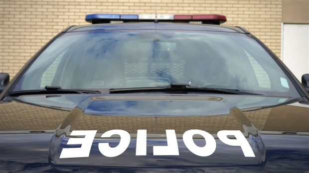Vingt-quatre personnes interpellées lors d'un party à Saint-Jules