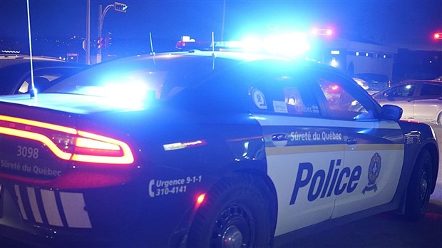 Dix personnes interpellées lors d'un rassemblement illégal à Saint-Joseph