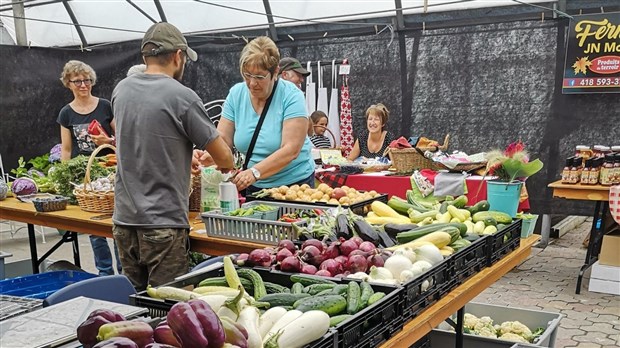 La MRC des Etchemins recherche des projets agricoles en circuit court