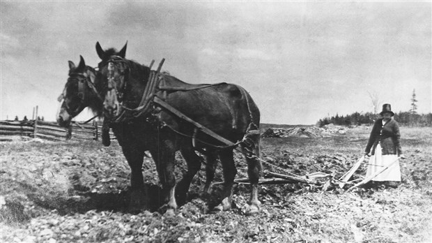 Hommage aux Beauceronnes d’hier et aujourd’hui, ces femmes avant-gardistes