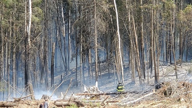 Un printemps hâtif est propice à l’éclosion de feux de végétation