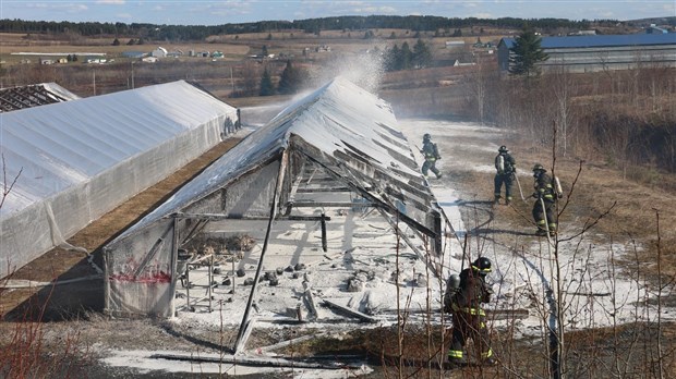 Incendie aux Serres Bégin : deux serres complètement détruites