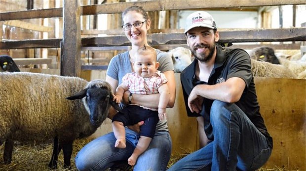 Une ferme ovine de Saint-Zacharie reconnue à l'échelle provinciale