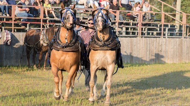 Nashville en Beauce officiellement annulé en 2021