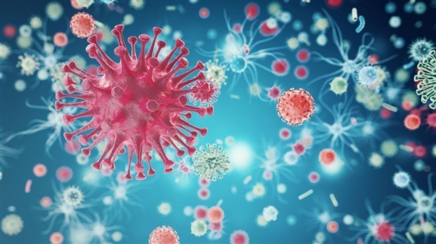 COVID-19 : plus de la moitié des nouveaux cas sont en Beauce-Etchemin