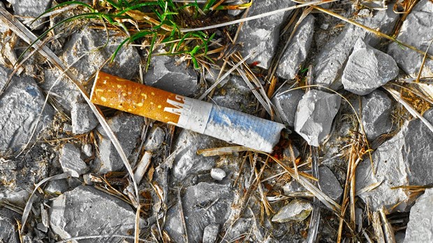 Les mégots de cigarette demeurent une cause importante de feu de végétation
