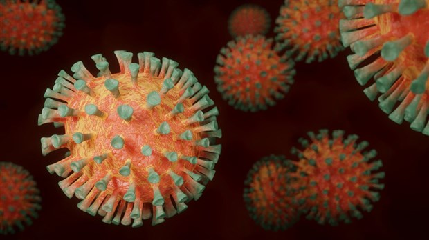 COVID-19 : un décès et 24 nouveaux cas en Beauce