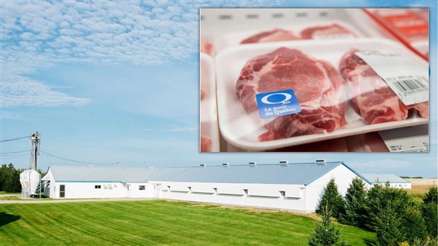 Moisson Beauce: don de 2 000 $ en viande de porc