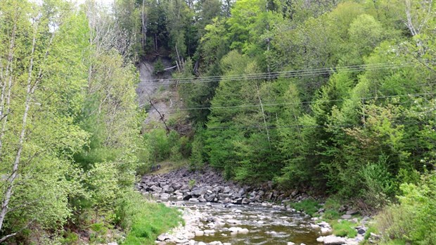 Il faut étendre le concept de forêt de proximité à tout le Québec, selon la FQM