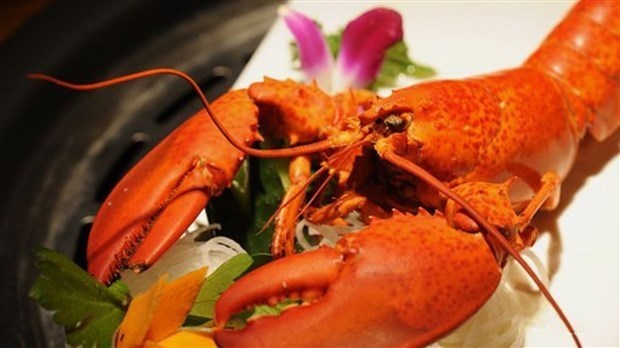 Au Bercail amasse 12 000 $ avec son souper de homard