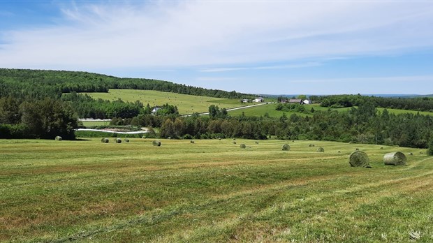 Galerie 1 : l'agriculture, c'est photogénique!