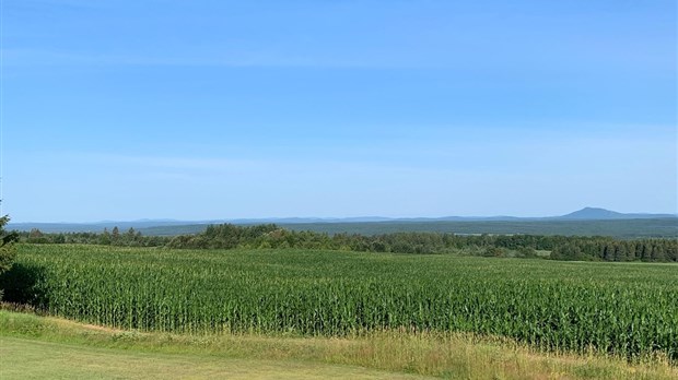 Galerie 2 : l'agriculture, c'est photogénique!
