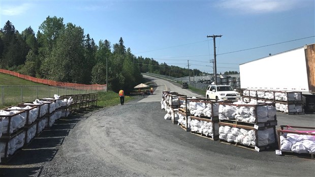 Quelque 155 000 plants d'arbres distribués à des propriétaires de boisés de la Beauce