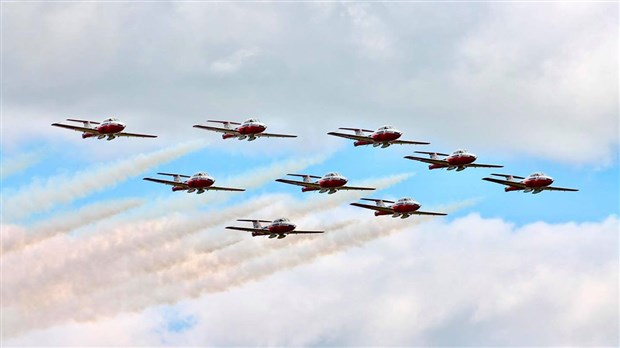 Les Snowbirds