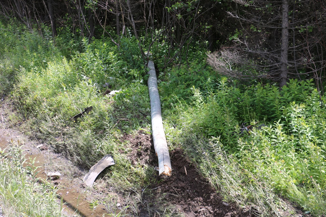 Sortie de route à SainteRosedeWatford