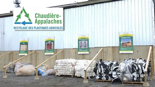 Projet pilote de collecte de plastiques agricoles dans Chaudière-Appalaches
