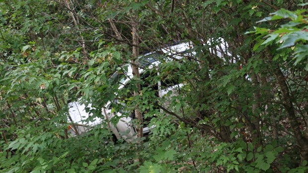 Une conductrice termine sa route dans des arbres 