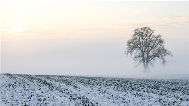 Alerte de smog pour plusieurs secteurs en Beauce