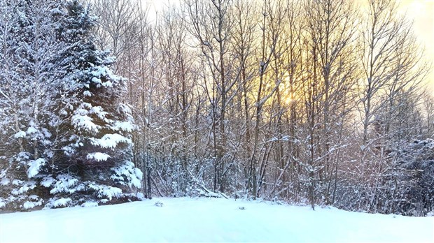 Galerie 2 : l'hiver beauceron