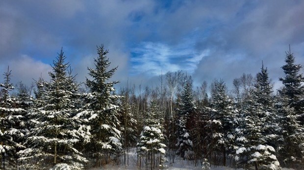 Galerie 9 : l'hiver beauceron
