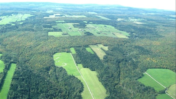 Consultation publique sur le plan d'aménagement forestier intégré tactique