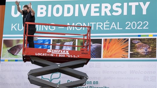 Une conférence onusienne sur la biodiversité s'ouvre à Montréal