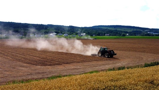 Québec donnera une aide financière aux agriculteurs qui veulent devenir plus écolos