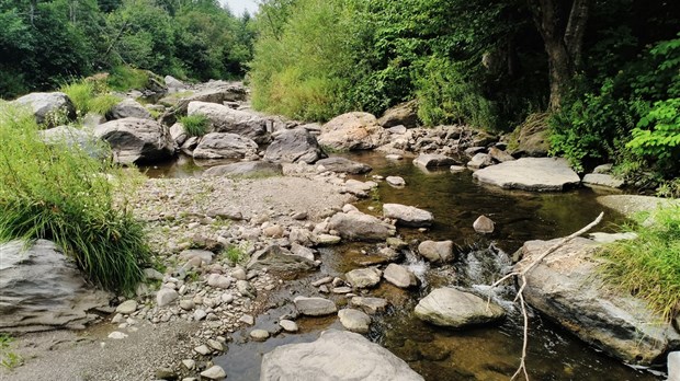Améliorer l'état de la Rivière des fermes: une première étape franchie