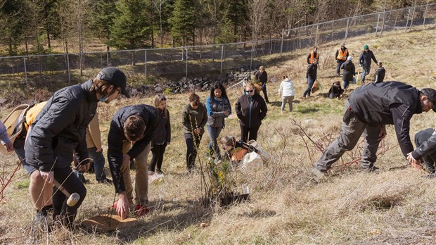 Une activité de reboisement initiée au Cégep Beauce-Appalaches