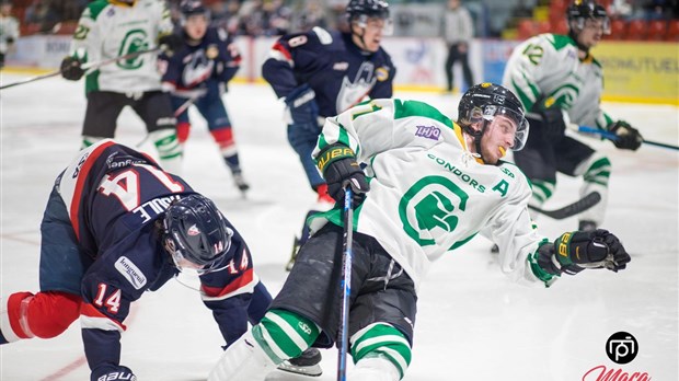 Blanchissage des Condors au 2e match de la finale