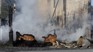 - Photo: Marie-Claude Therrien/EnBeauce.com