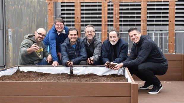 Un nouveau toit vert au Cégep Beauce-Appalaches