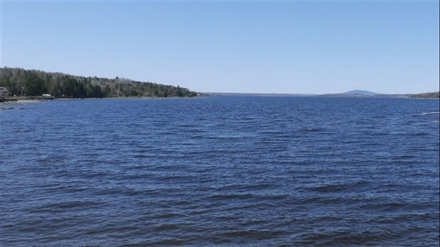 Population de dorés dans le Grand lac Saint-François: une diminution «inacceptable»