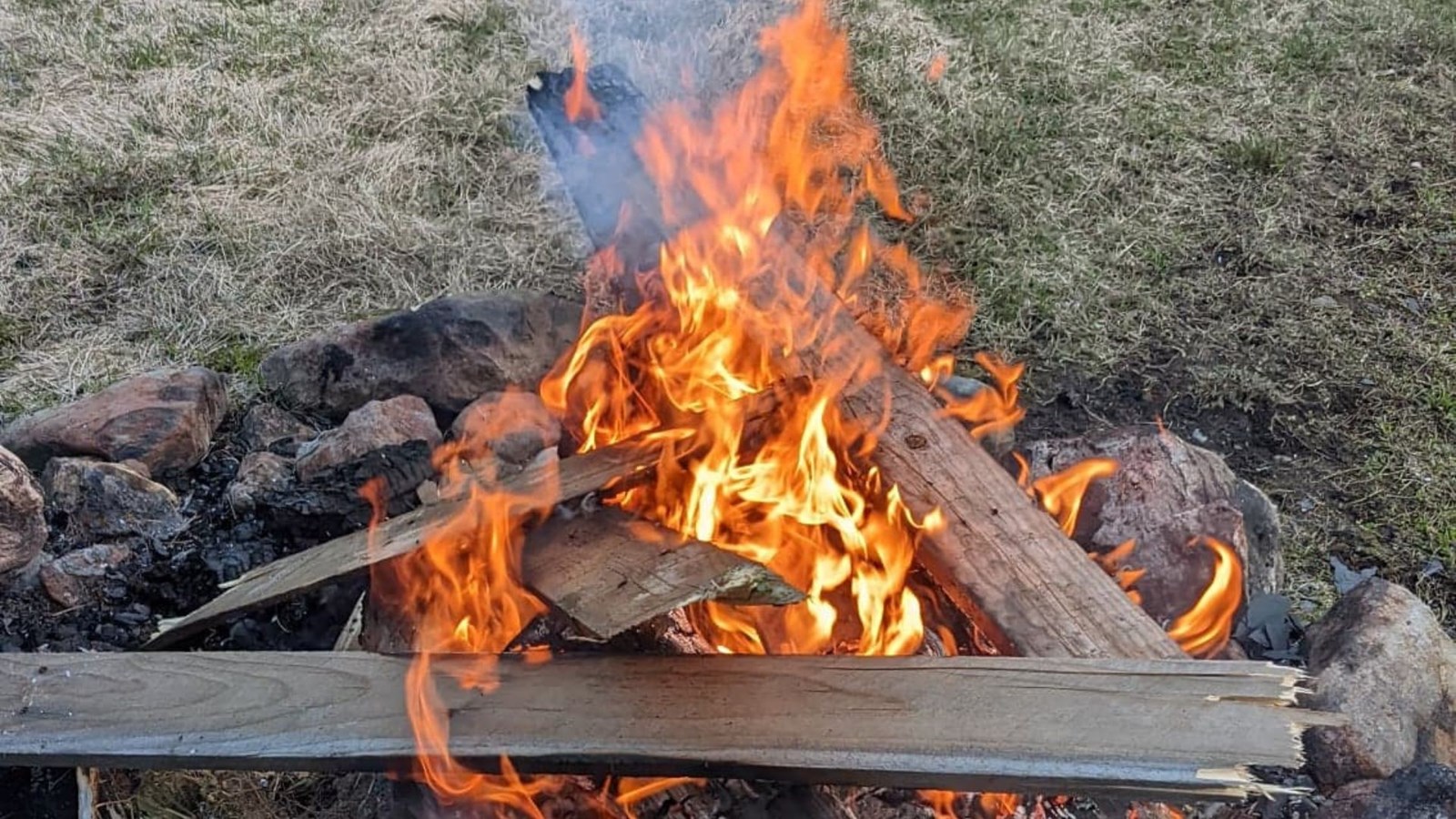 5 conseils pour une tambouille parfaitement grillée sur le feu de camp -  Parcs Blog