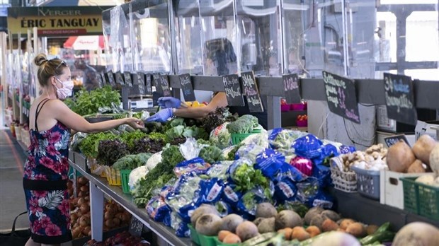 Le Québec pourrait gérer tout son plexiglas post-pandémie