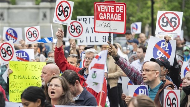La Cour supérieure suspend des articles de la Loi sur la langue officielle et commune