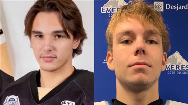 De nouvelles transactions pour l'équipe de hockey des Condors