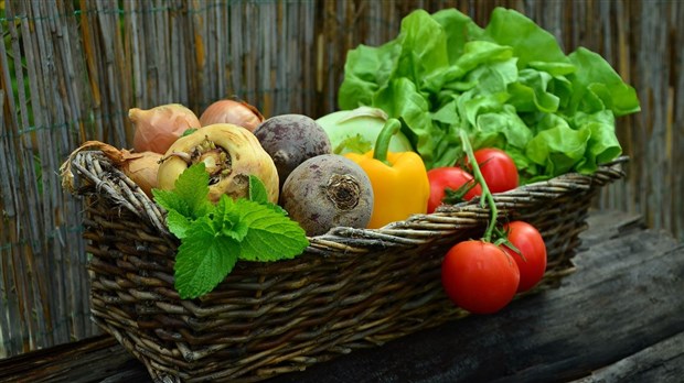 Plus de 98 000 $ pour 14 projets en éducation bioalimentaire