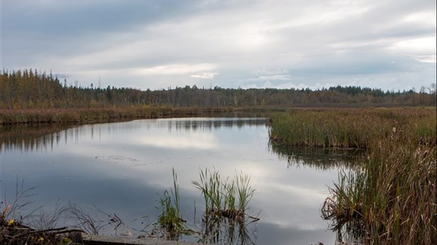 La Réserve naturelle de la Cumberland a besoin de votre aide