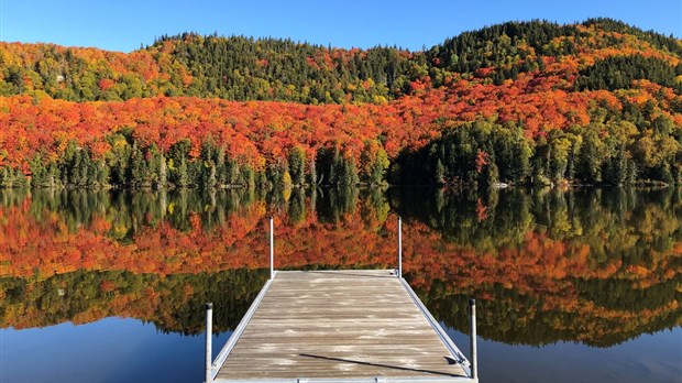 Appel photo: l'automne aux milles couleurs