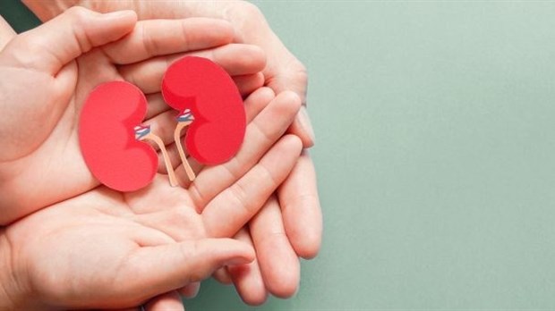 Plus de 50% des répondants ont consenti au don d'organes