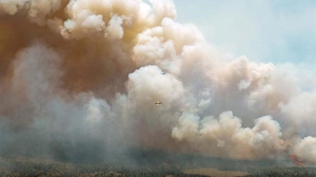 Feux de forêts: la SOPFEU dresse le bilan de la saison 2023